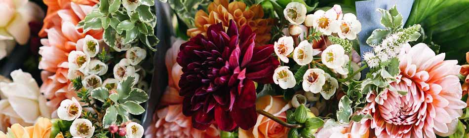 Florists, Floral Arrangements, Bouquets in the Ambler, Montgomery County PA area