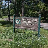 Bowman's Hill Wildflower Preserve